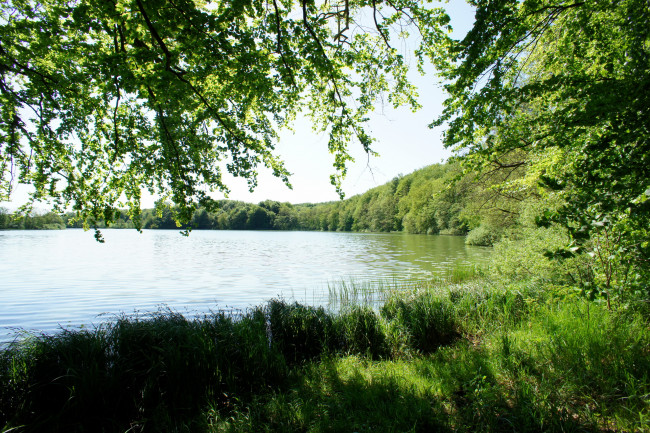 Обои картинки фото дания, обенро, природа, реки, озера, деревья, река