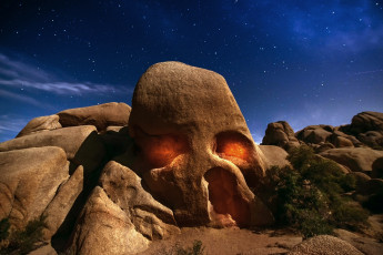 Картинка природа горы ночь дерево джошуа кусты сша свет скала Череп пустыня калифорния небо штат звезды