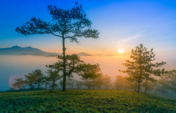 Картинка природа восходы закаты туман солнце горы сосны рассвет утро