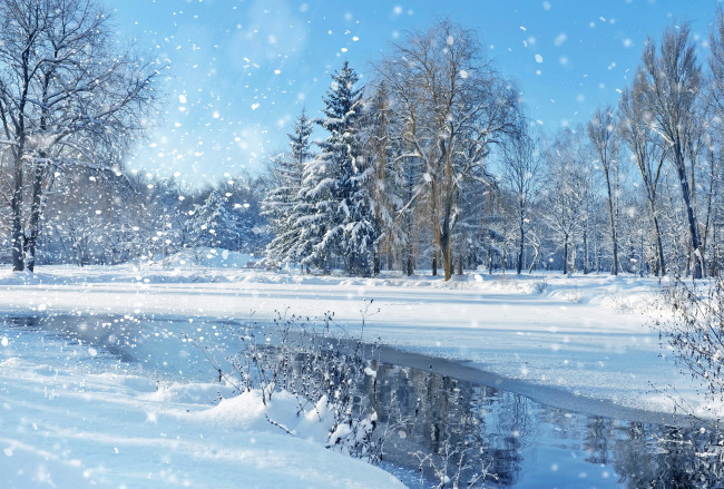Обои картинки фото природа, зима, деревья, пруд, снег, скамейка