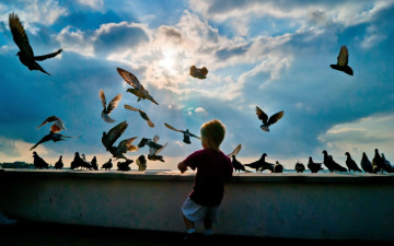 Картинка разное дети ребенок голуби