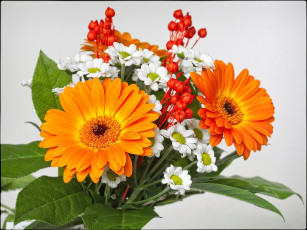 Картинка цветы букеты композиции герберы оранжевый хризантемы