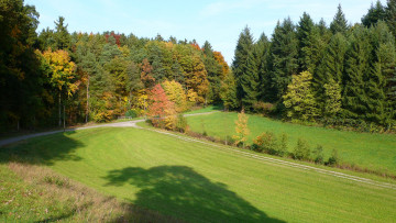 Картинка franconia autumn природа лес осень поле дорога