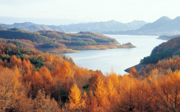 Картинка природа реки озера осень река деревья желтые кроны холмы простор
