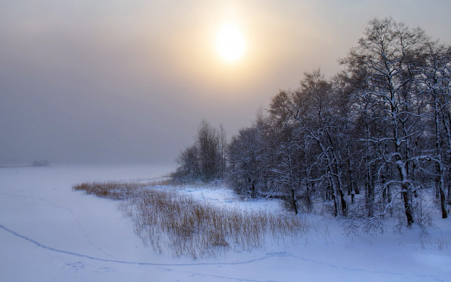 Обои картинки фото природа, зима, закат, снег, деревья