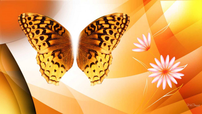 Обои картинки фото векторная графика, цветы, чветы, бабочка