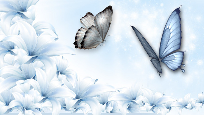 Обои картинки фото векторная графика, животные, бабочки, цветы