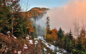 Картинка природа горы облако дорога деревья осень