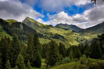 Картинка франция природа горы ели трава облака