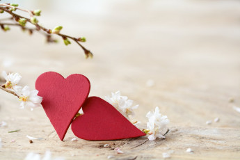 Картинка праздничные день+святого+валентина +сердечки +любовь сердечки ветки цветы весна почки