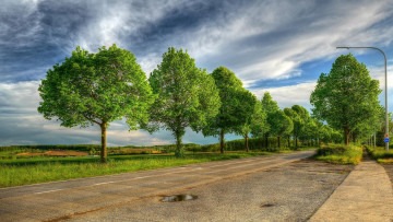 Картинка природа дороги поля дорога деревья пейзаж
