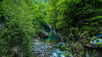 Картинка природа реки озера лес деревья скалы речка камни