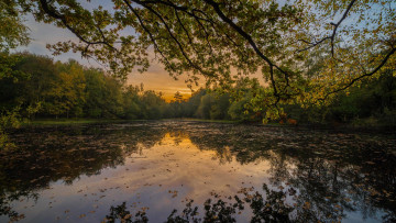 Картинка природа реки озера озеро осень лес деревья пейзаж