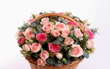 Картинка цветы розы корзина шикарный букет basket