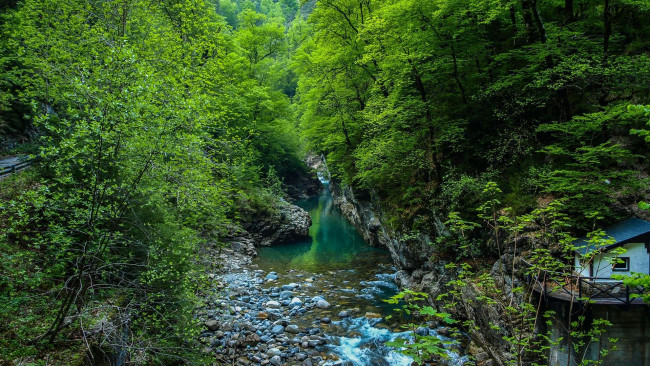 Обои картинки фото природа, реки, озера, лес, деревья, скалы, речка, камни