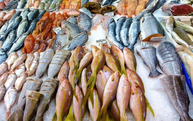 Обои картинки фото еда, рыба,  морепродукты,  суши,  роллы, fish, frozen, meat, variety