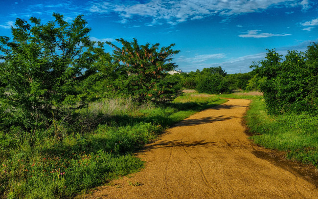 Обои картинки фото природа, дороги, солнце, тень, roads, usa, деревья, техас, дорога