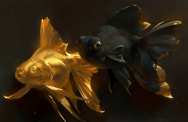 Обои картинки фото рисованное, животные,  рыбы, золотая, рыбка, golden, fish, арт, парочка
