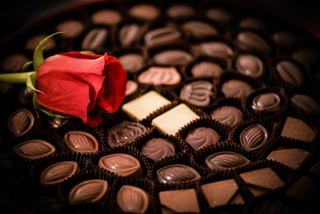 Обои картинки фото еда, конфеты,  шоколад,  сладости, роза, цветок, шоколад, ассорти, набор