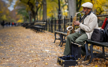 Картинка музыка -другое улица парк скамейка саксофон мужчина