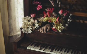 обоя музыка, -музыкальные инструменты, цветы, клавиши, комната, рука