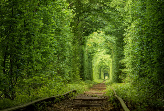 Картинка природа дороги тоннель