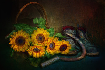 Картинка рисованные цветы серп ботинки подсолнухи