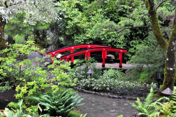 Картинка butchart gardens canada природа парк водоем мостик растения цветы