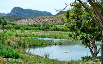 Картинка природа реки озера трава деревья кустарник горы река