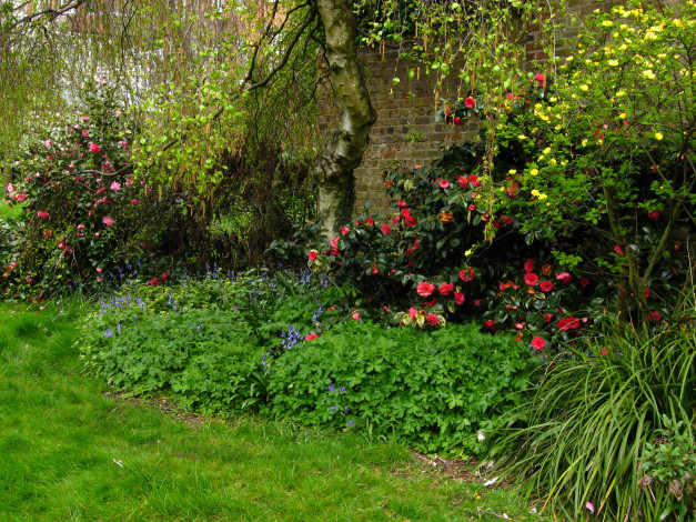 Обои картинки фото england, hampstead, природа, парк, деревья, трава, цветы
