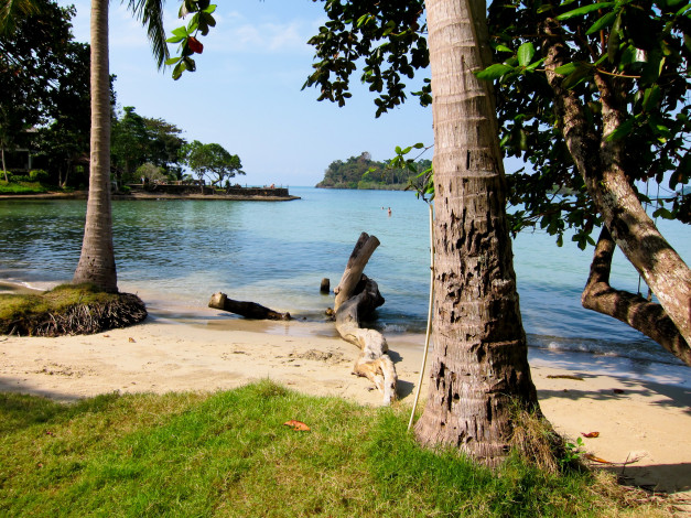 Обои картинки фото остров, Чанг, таиланд, природа, побережье, деревья