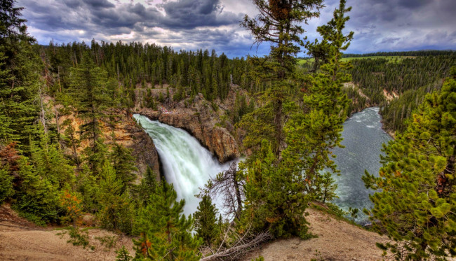 Обои картинки фото upper, falls, yellowstone, river, природа, водопады, скалы, обрыв, лес, река, сша, водопад, йеллоустоун
