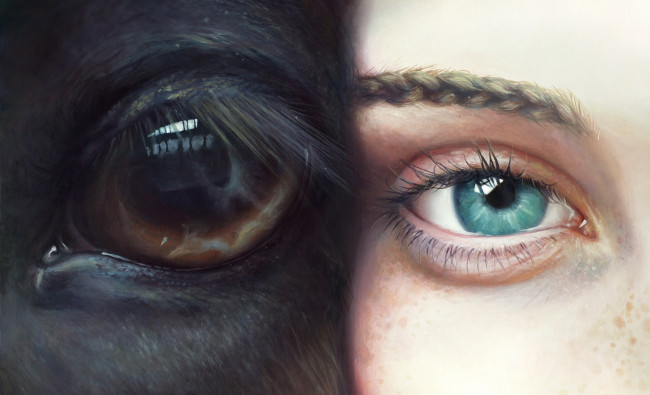 Обои картинки фото рисованные, другое, девушка, конь, глаза