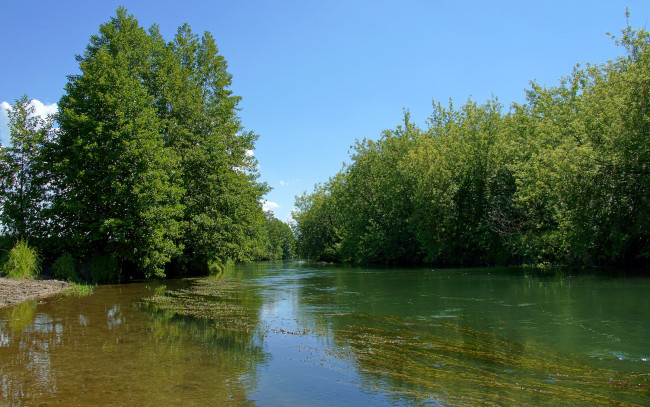 Обои картинки фото природа, реки, озера, деревья, вода, река