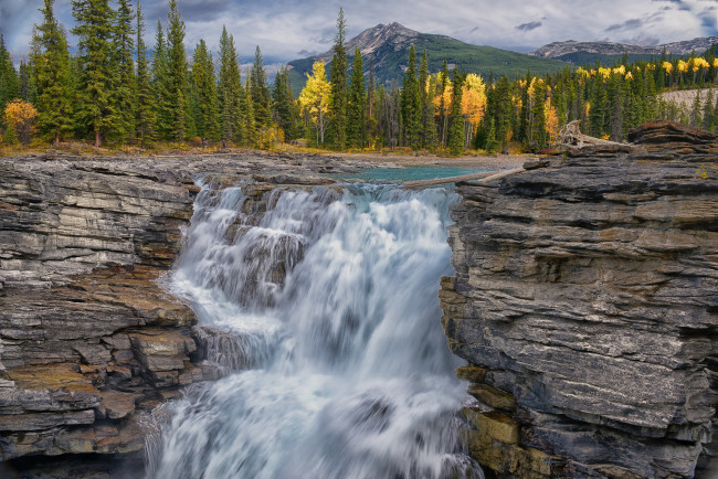Обои картинки фото athabasca, falls, jasper, national, park, alberta, canada, природа, водопады, осень, канада, водопад, атабаска, альберта, джаспер