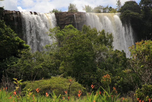 Обои картинки фото kama, falls, gran, sabana, венесуэла, природа, водопады, цветы, обрыв, водопад