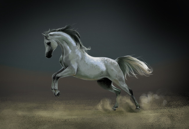Обои картинки фото рисованные, животные, лошади, лошадь, пыль, белая