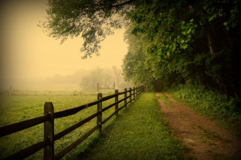 Картинка природа дороги usa pennsylvania сша пенсильвания забор дорога туман деревья