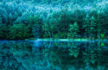Картинка природа реки озера отражение деревья лес водоем пруд Япония