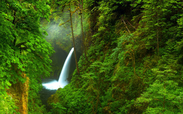 Картинка природа водопады сша деревья река водопад орегон лес ущелье
