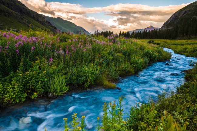 Обои картинки фото природа, реки, озера, пейзаж, лето, закат, горы, колорадо, сша, цветы, река