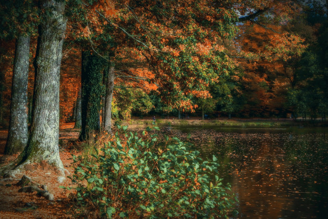 Обои картинки фото природа, реки, озера, осень