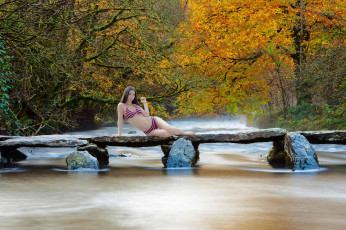 Картинка девушки -+брюнетки +шатенки река мост деревья шатенка купальник