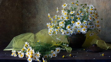 Картинка цветы ромашки шарф ваза букет