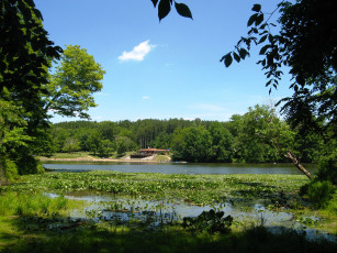 Картинка природа парк озеро