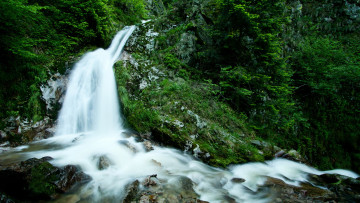 Картинка природа водопады лес камни трава вода