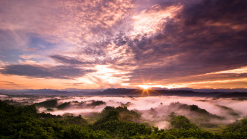 Картинка природа восходы закаты деревья дымка вечер облака