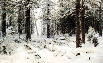 обоя природа, зима, лес, деревья, снег