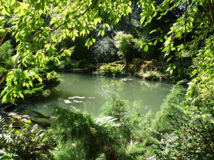 Картинка secret garden blenheim palace англия природа парк растения пруд