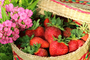 Картинка еда клубника земляника ягоды гвоздики лукошко